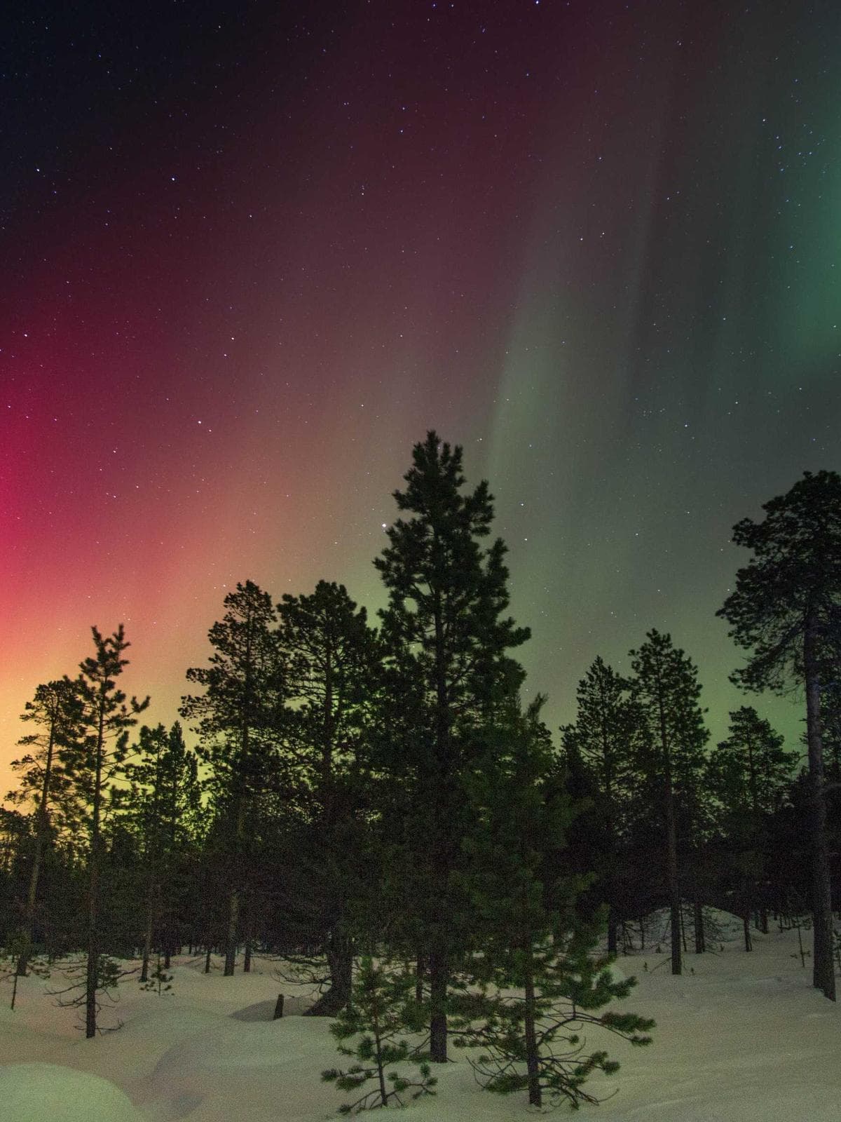 Nordic Silence